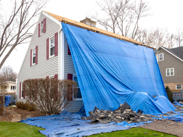 Professional Siding Installation in Mountain View, HI